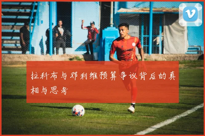 拉科布与邓利维预算争议背后的真相与思考